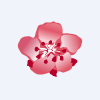 Profile picture for
            China Airlines, Ltd.