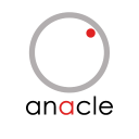 Profile picture for
            Anacle Systems Ltd