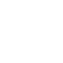 American International Group Inc stock logo
