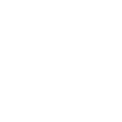 AIP logos