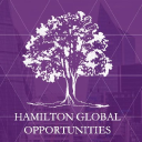 Profile picture for
            Hamilton Global Opportunities PLC