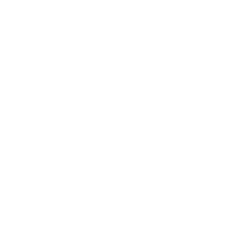 Arista Networks Inc stock logo