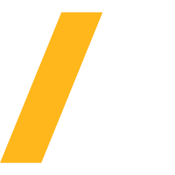 Ansys Inc. - Registered Shares stock logo