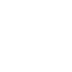 Axon Enterprise Inc stock logo