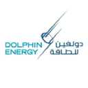 Profile picture for
            Blue Dolphin Energy Company