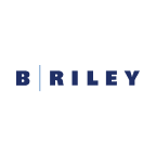 Profile picture for
            B. Riley Principal 250 Merger Corp.
