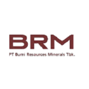 Bumi Resources Mineral Logo