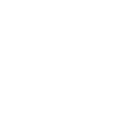 Catcha Investment Corp - Class A stock logo