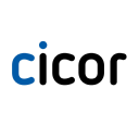 Profile picture for
            Cicor Technologies Ltd