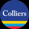 Colliers International Group Logo