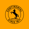 Profile picture for
            Continental AG
