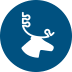 Caribou Biosciences Inc stock logo