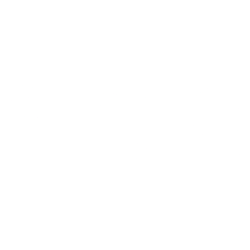 Torrid Holdings Inc stock logo