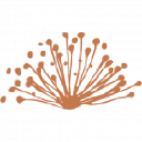 Caravel Minerals Logo