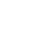 Digital Brands Group Inc stock logo