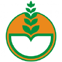 Profile picture for
            Deepak Fertilisers And Petrochemicals Corporation Limited