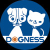 Dogness (International)