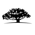 Profile picture for
            WisdomTree Dynamic Long/Short U.S. Equity Fund