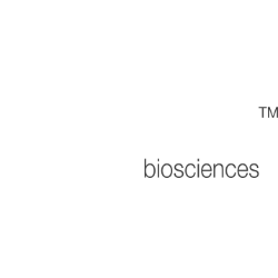 Profile picture for
            Ensysce Biosciences, Inc.