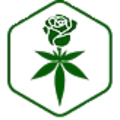 Profile picture for
            The Greenrose Holding Company Inc.