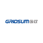 Gridsum Holding Inc - ADR stock logo