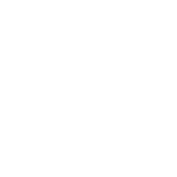 Lionheart III Corp - Class A stock logo