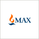 Profile picture for
            Max Financial Services Limited