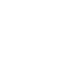 NetApp, Inc. stock logo