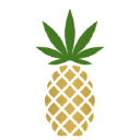 Profile picture for
            Pineapple, Inc.