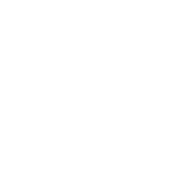 Profile picture for
            Mount Rainier Acquisition Corp.