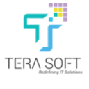 Profile picture for
            Tera Software Limited