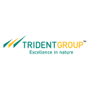 Profile picture for
            Trident Limited