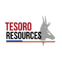 Profile picture for
            Tesoro Resources Limited