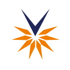 Vaxfab Enterprises Limited stock logo