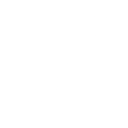 ZION logo